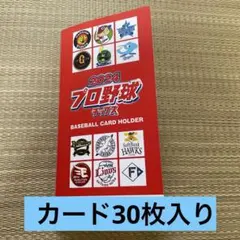 プロ野球チップスCARD HOLDER+カード30枚