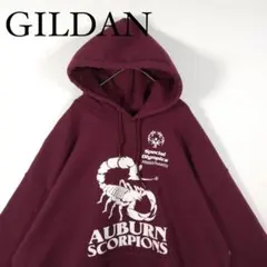 GILDAN AUBURN SCORPIONS パーカー XL プルオーバー