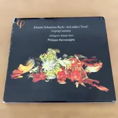 バッハ　カンタータ　BWV 25・138・105・46　ヘレヴェッヘ