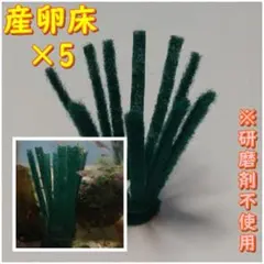 etsu123様 リクエスト 3点 まとめ商品