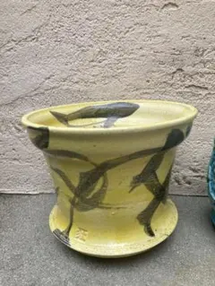 2025年最新】狂鉢の人気アイテム - メルカリ