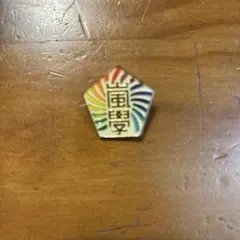 嵐のワクワク学校 2013 ピンバッジ