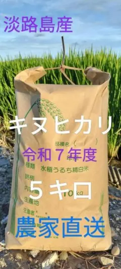 ☆令和７年度産キヌヒカリ☆５キロ☆精米のサムネイル