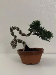 Mt.4103様 リクエスト 2点 まとめ商品