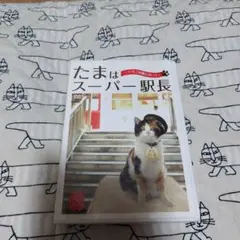 たまはスーパー駅長～いちごの風にのって～DVD