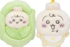ちいかわbaby キャベツに包まれたうさぎマスコットとうさぎ2点セット