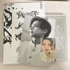 ALD1 少年BEAST Fragile Beast ver サンウォン