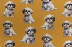 【ゆきちゃん限定】X1648-2 シーズー マスタード コットン生地 1m