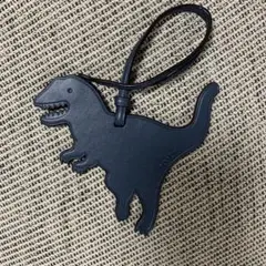2026年最新】coach チャーム 恐竜の人気アイテム - メルカリ