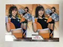 【押野さくら】BBM 2025 チア 巨人 パラレル版 2枚セット