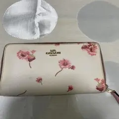 COACH 花柄 フラグメントケース