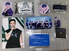 2025年最新】straykids maniac ライブフォトトレカの人気アイテム