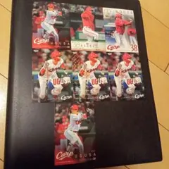 Item thumbnail for item c8b5bacd-1edf-4a6a-8f1d-3ebeb8bafad4