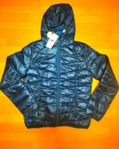 Item thumbnail for item 8a9acd87-135c-410b-b699-0a23fc207c3d