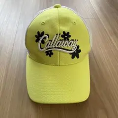 Item thumbnail for item 78860dd9-66a5-4fc9-b857-971ffcabb53f