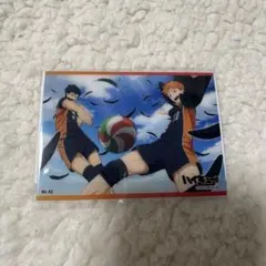 ハイキュー　影山飛男　日向翔陽