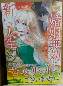 書籍『婚姻無効になったので新しい人生始めます』
