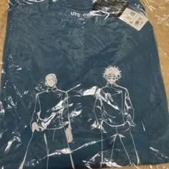 Item thumbnail for item 6c399c44-0217-442e-88b7-c2372753de44