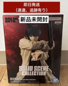 2025年最新】SOLID SCENE COLLECTION -NAGUMO-の人気アイテム