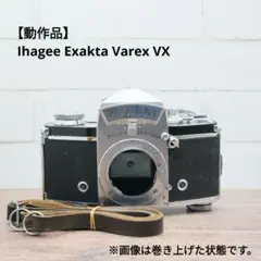 2025年最新】エギザクタの人気アイテム - メルカリ
