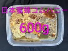 日本蜜蜂 巣蜜 コムハニー(非抗生剤 無添加)のサムネイル