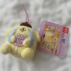 ラウンドワン限定 ポムポムプリンプリンのハッピールーティン