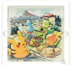 海外ポケモンセンター限定品】 プレイマット みがわり ゼニガメ - メルカリ