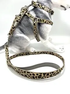 犬用品　首輪・ハーネス・リード・ジョイントリードのフルセット　ハンドメイド