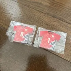 VNLネーションズリーグ　アクリルステッカー