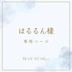 はるるん様専用ページ