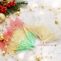 スケルトンリーフ クリスマス 花材 ドライフラワー プリザーブドフラワーのサムネイル