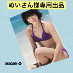 ぬいさん様専用出品