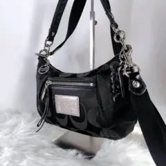 Item thumbnail for item a621d462-297a-4afb-8e9e-894246047759