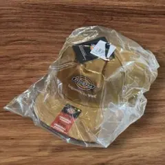 Dickies キャップ ツイル生地 平つば 野球帽　CAP 24SS