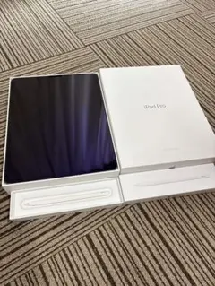 【Pencil付】iPad Pro 12.9 第3世代 256GB セルラーのサムネイル