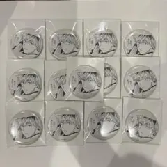 マリッジトキシン キャラバッジコレクション 缶バッジ 15個セット 中川