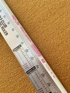 REVE VERSION5 madnessスリーブ REVE VERSION5 madnessスリーブ 【試打】新しいシャフト！REVE