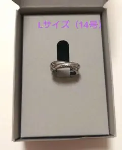 Item thumbnail for item 3bf59994-d820-45d3-b110-650b14fdcc9b