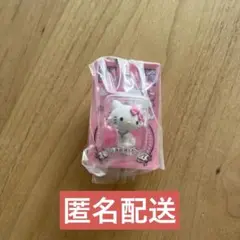 HELLO KITTY パッケージミニチュアコレクション　チャーミーキティ