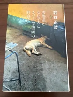 表参道のセレブ犬とカバーや要塞の野良犬