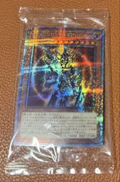 25th 遊戯王OCG デュエルモンスターズ
