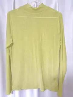 シースルー Tシャツ