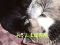 ふうまま様専用