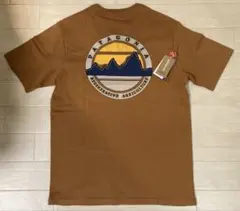 【未使用】patagonia オーガニックコットン Tシャツ XS