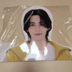 SEVENTEEN JEONGHAN フォトハンガー