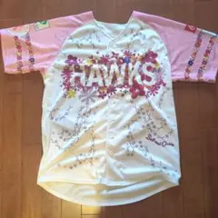 Item thumbnail for item 40b82978-05a4-47f6-865c-d2551196f7da