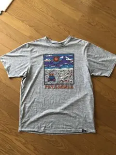 【美品】パタゴニア キャプリーン グラフィック Mサイズ　タグ付き