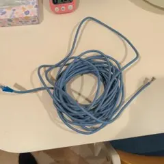 LANケーブル 本体 CAT6 おそらく10m以上