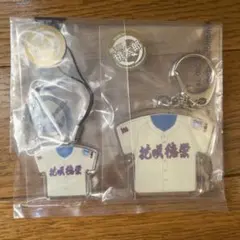 花咲徳栄高校 野球部　ユニフォーム キーホルダー ストラップ 2点セット