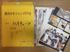 ハイキュー　複製原画セットmini おまけ付き 集英社（SHUEISHA） ハイキュー 複製原稿 最終回 週刊少年ジャンプ